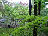 たぶん本土寺